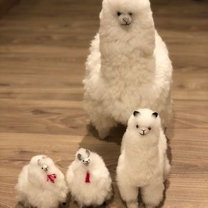 Meet your Posher, Lilly